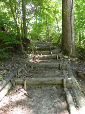 Four Seasons Trail Chimney Rock State Park