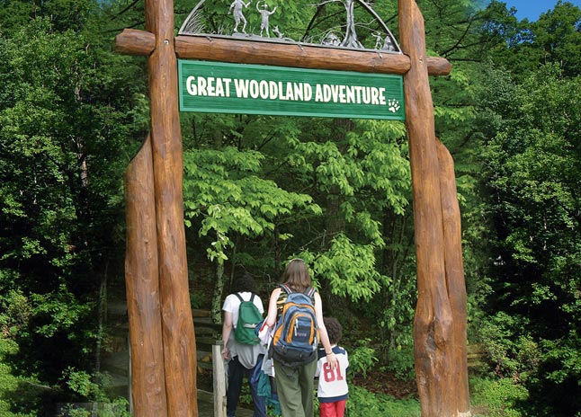 greatwoodlandadventure