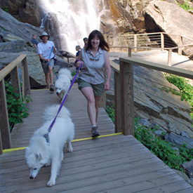 chimneyrock_dogs