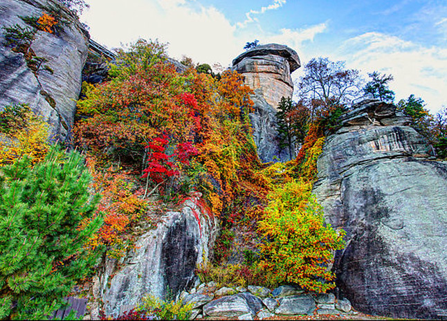 fall