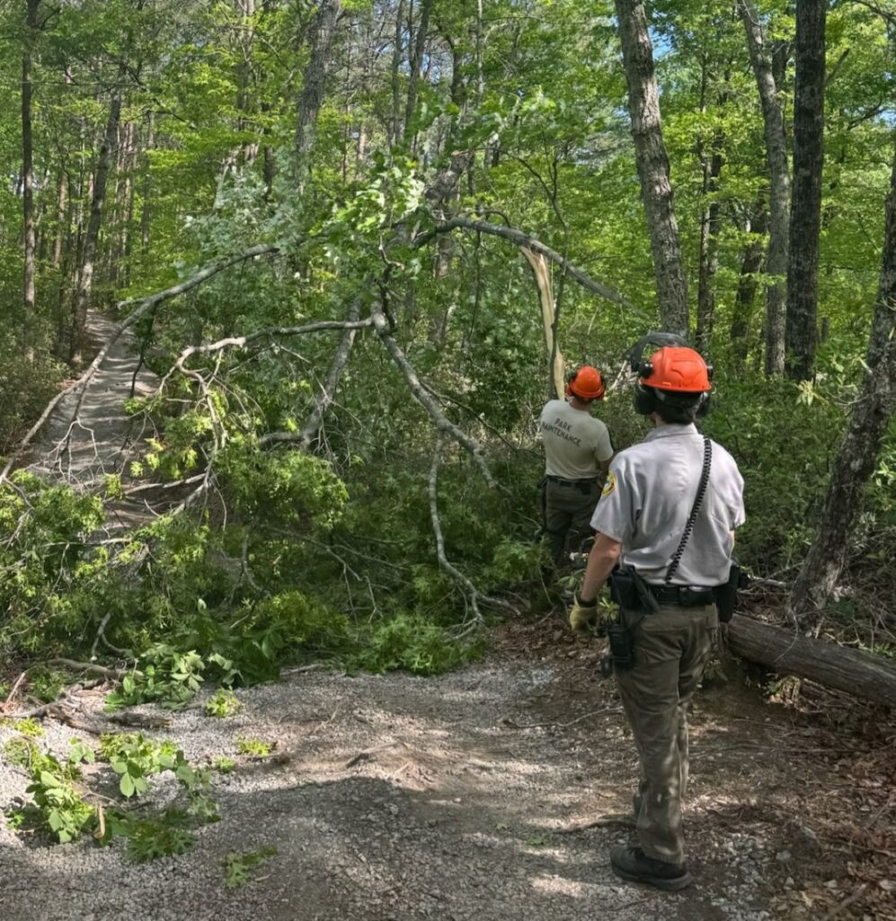 Two NC State Parks staff in personal protective equipment (PPE) use a chainsaw to clear fallen trees blocking the trail