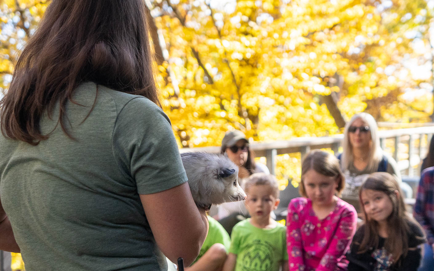 Harvest Days 2023 Chimney Rock at Chimney Rock State Park